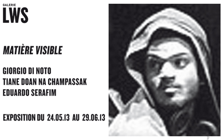 Matiere-Visible-2013-galerieLWS