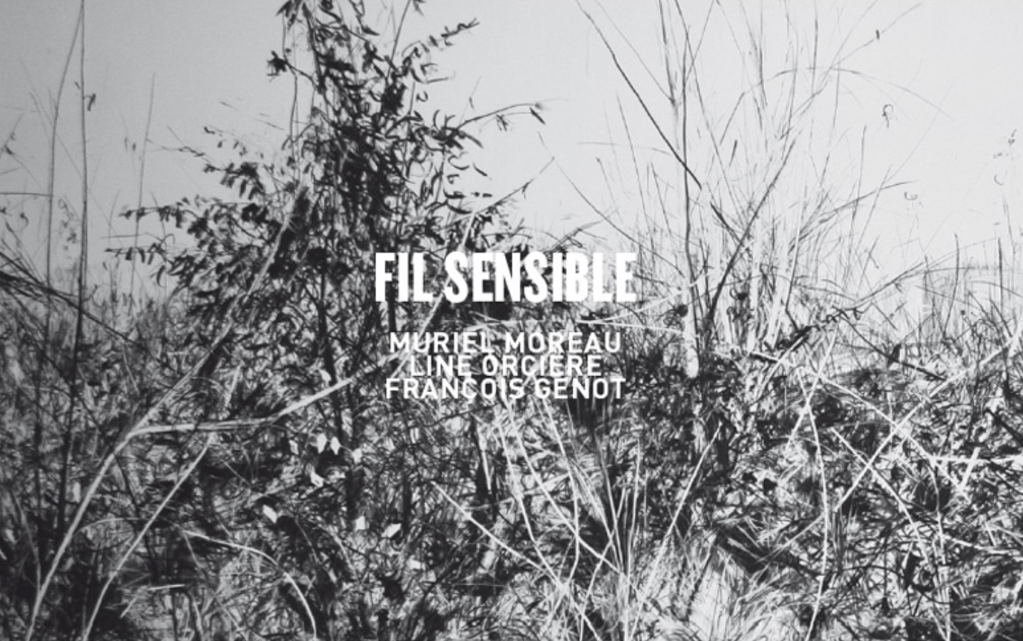 Expo-FilSensible-galerieLWS-2012
