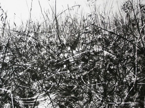 F-Genot-dessin2-galerieLWS-2012