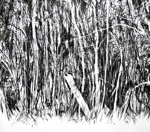 F-Genot-dessin3-galerieLWS-2012