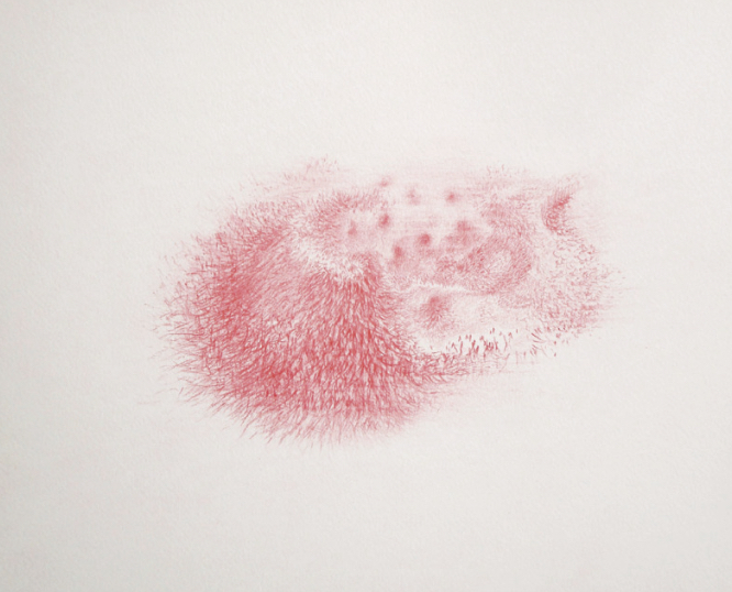 Karine-Veyres-Crayon-sur-Papier-2014-DDESSIN2015-galerieLWS