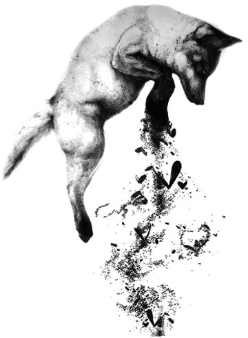 Line-Orciere-serie-slaugterhouse-1-galerieLWS-2012