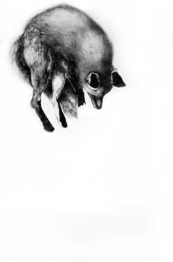Line-Orciere-serie-slaugterhouse-galerieLWS-2012