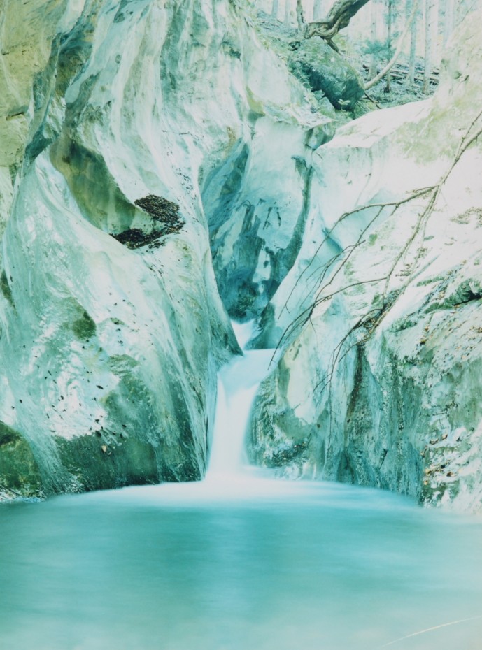 Mayumi-Hosokura-1-Natures-galerieLWS-2012