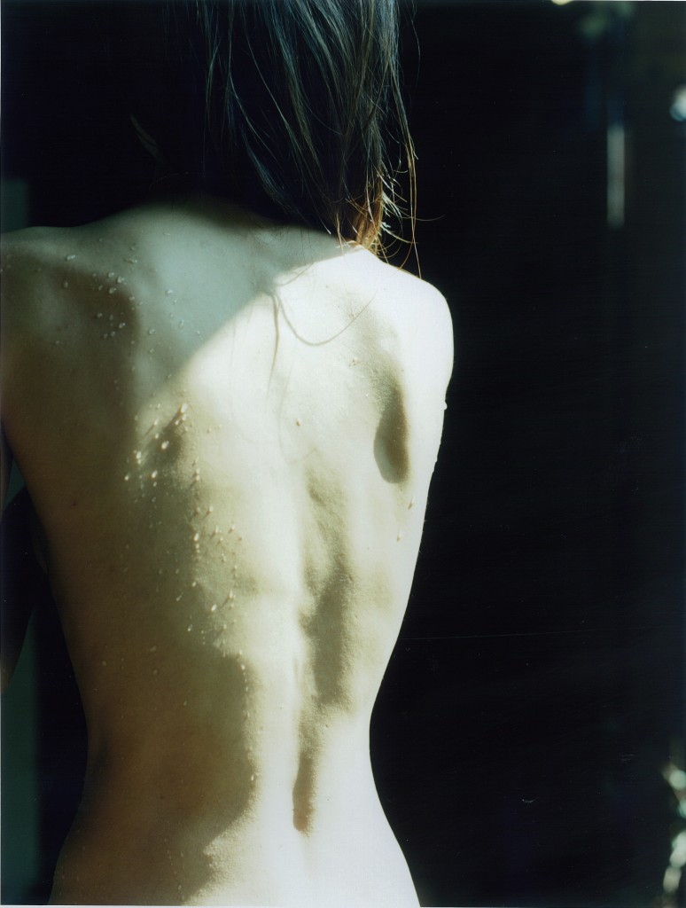 Mayumi-Hosokura-2-Natures-galerieLWS-2012