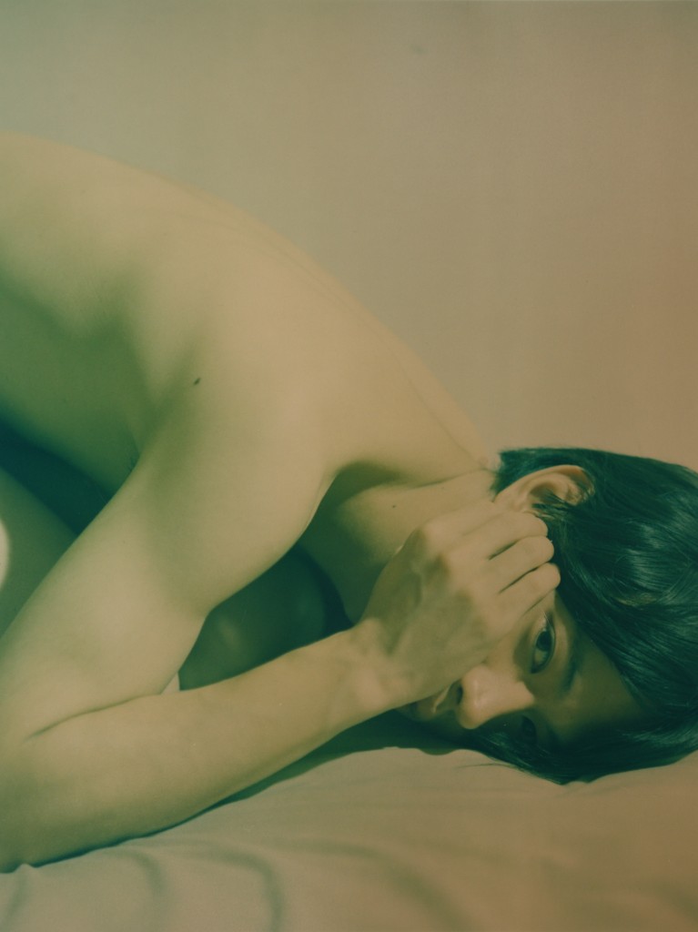 Mayumi-Hosokura-3-Natures-galerieLWS-2012