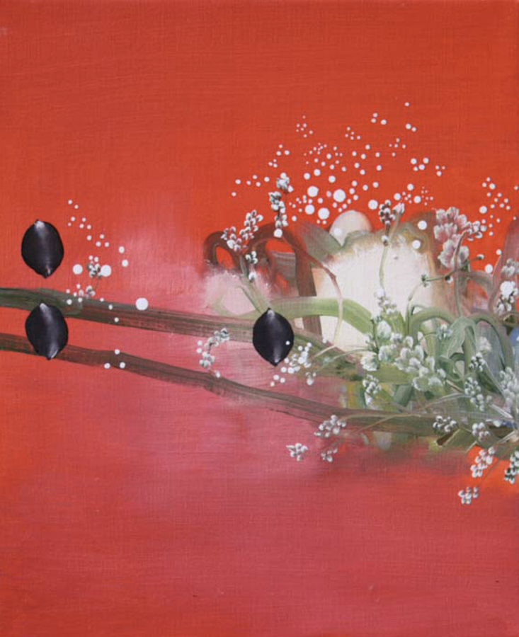 Yamou-Corde-a-graines-HST-2009-galerieLWS