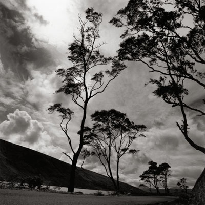 Antoine-Dambrine-Paysages-2010-galerieLWS