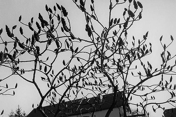 Emmanuel-Berry-03-Les-Alentours-2010-galerieLWS.jpg