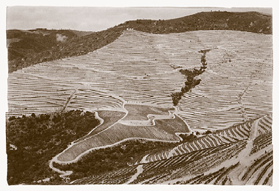 José-Miguel Ferreira-02-Par-la-vallee-du-Douro-2011-galerieLWS