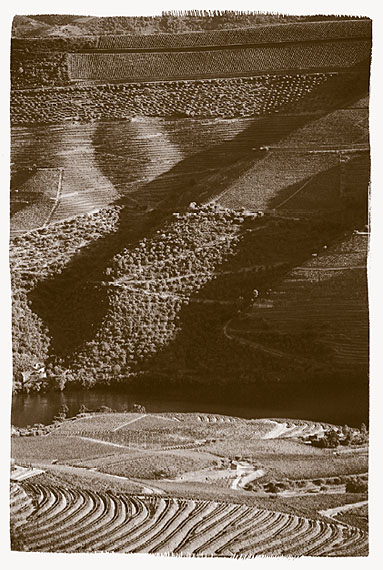 José-Miguel Ferreira-04-Par-la-vallee-du-Douro-2011-galerieLWS