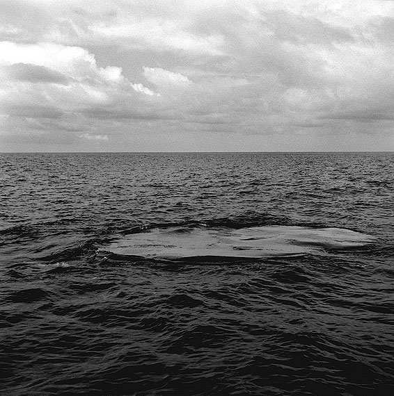 Thierry-Secretan-Açores-2010-galerieLWS