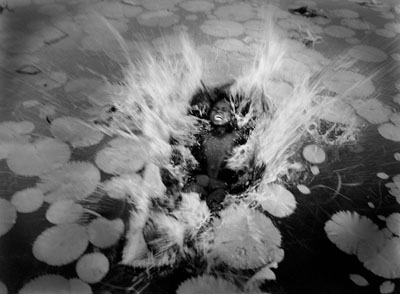 William-Ropp-Oeuvres-Choisies-2009-galerieLWS